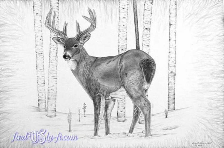 Season's Over Deer Print