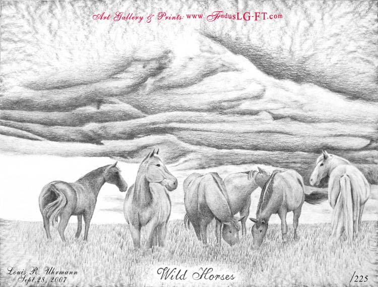 Wild Horses Print