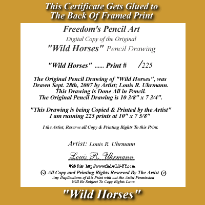 Wild Horses Certificate